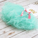 First Birthday Aqua Tutu Outfit - Betty Bramble